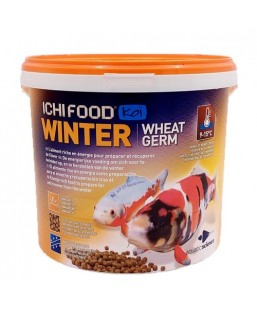 Bassin de jardin : ICHIFOOD WINTER 4KG MEDIUM COULANT, Nourriture Ichi Food