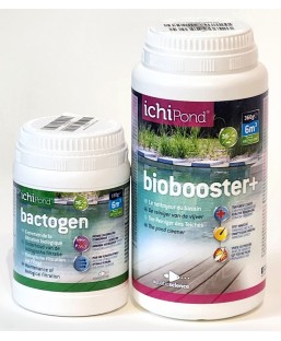 Bassin de jardin : Bactogen + Biobooster 6000, Traitement Aquatic Science