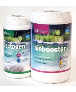 Bassin de jardin : Bactogen + Biobooster 12000, Traitement Aquatic Science