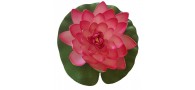 Bassin de jardin : LOTUS ROSE 17CM, Nenuphars decoratifs