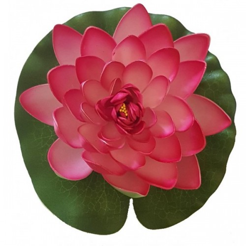 Bassin de jardin : LOTUS ROSE 17CM, Nenuphars decoratifs