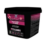 Bassin de jardin : COLOMBO BACTOCLEAR 1000 ML(bassin de 20M3), Traitement Colombo