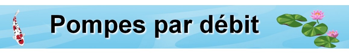 pompe bassin de jardin par débit