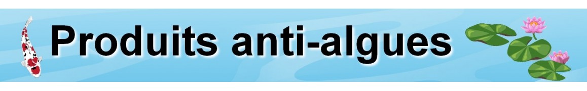 traitement contre les algues de bassin de jardin, anti algue