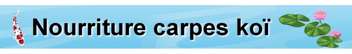Nourriture pour carpes koi pour bassin de jardin
