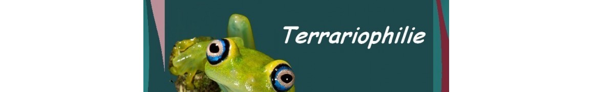 Terrariophilie – Matériel et accessoires spécialisés