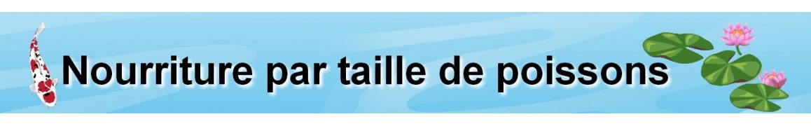 Nourriture pour poissons de bassin petits et grands avec garda aquatic