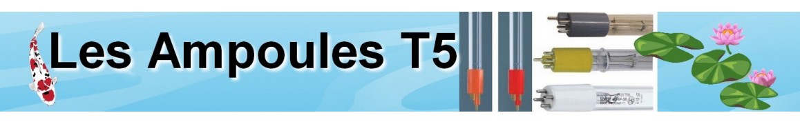 Ampoules T5 pour bassin de jardin