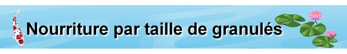 Nourriture pour poissons de bassin de jardin par taille de granulés