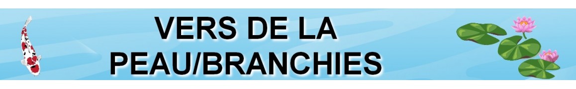 Traitez vos poissons de bassin contre les VERS DE LA PEAU/BRANCHIES