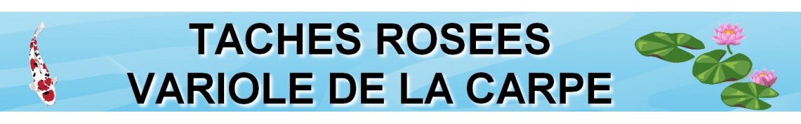 Traitement contre la VARIOLE DE LA CARPE, maladies de bassin de jardin