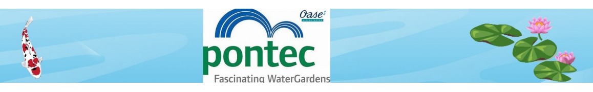 Découvrez les kits de filtration PONTEC pour bassin de jardin