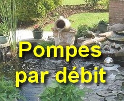 Pompe de bassin par débit