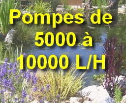 Pompes de 5 à 10m3/H