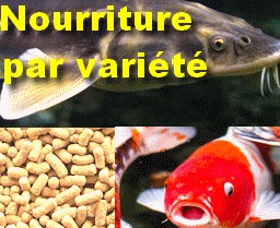 Nourriture par variété de poissons