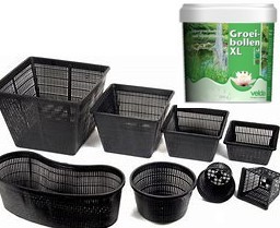 Paniers/Produits plantes