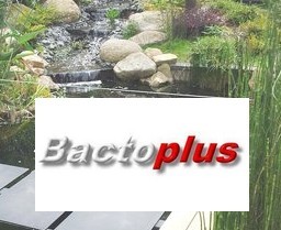 Traitement BACTOPLUS