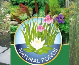 Traitement Natural Ponds