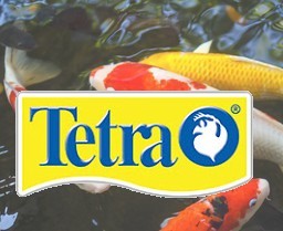 Traitement poissons tetra pond