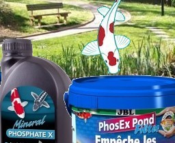 Traitement anti phosphates