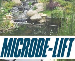 Traitement Microbe Lift