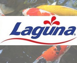 Laguna