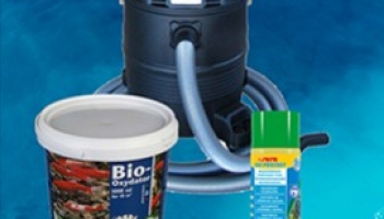Aspirateur pour bassin et produits d'entretien,  préparer l'arrivée du printemps