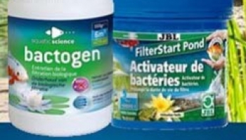 Les traitements à réaliser au printemps 
