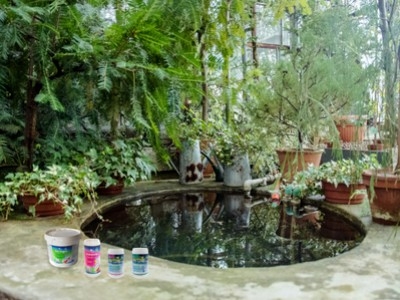 Prendre soin de son bassin de jardin avec Biobooster