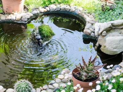 Guide pour créer un Kit complet bassin de jardin pas cher