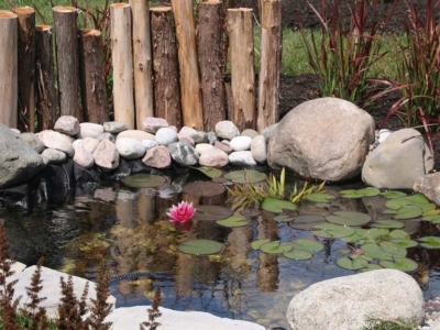 Création d'un Bassin de Jardin : Du Rêve à la Réalité