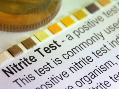 Comprendre et prévenir les dangers du nitrite dans votre bassin de jardin