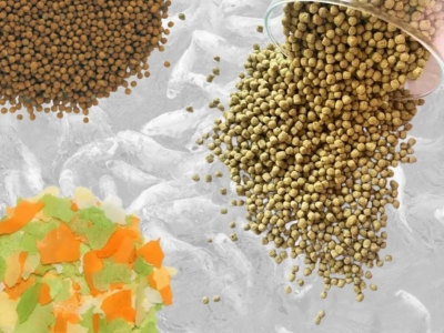 Quel type de nourriture poisson de bassin existe-t-il ? flocon, granulé et stick