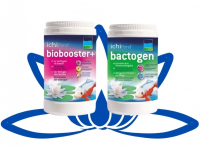 Biobooster et Bactogen : Les Alliés Incontournables pour un Aquarium Équilibré