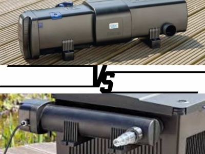 Pourquoi choisir les stérilisateurs UV Bitron et Vitronic de Oase pour votre bas