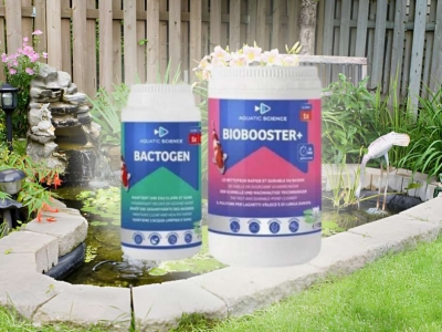 Les produits biologiques pour bassin : alternatives aux produits chimiques