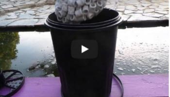 À quoi sert un filtre pour bassin de jardin?