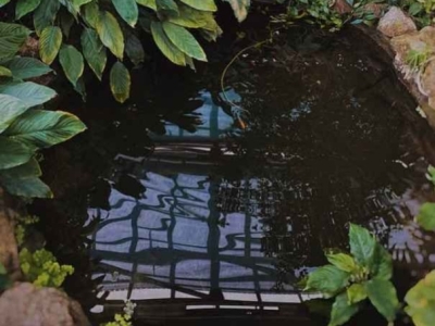 Top 5 des erreurs à éviter quand on achète une pompe de bassin